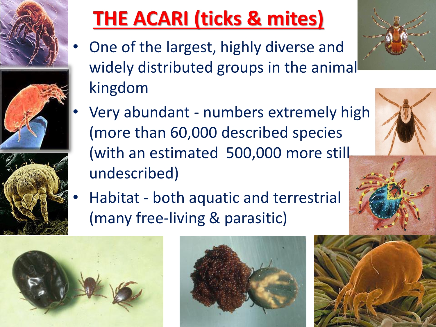 No preview available